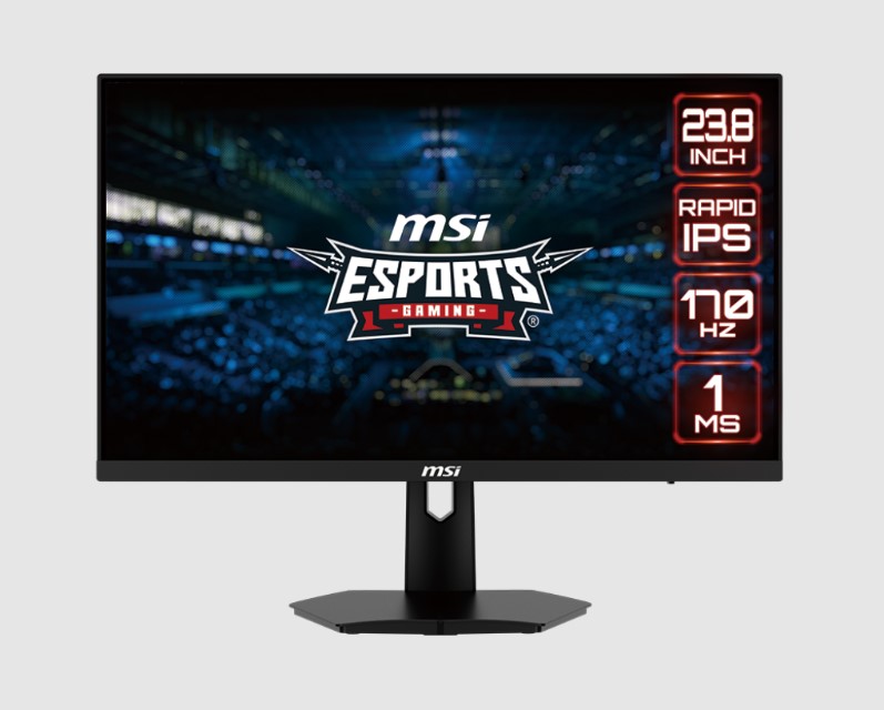 ECRAN MSI G244F 170hx ips 4