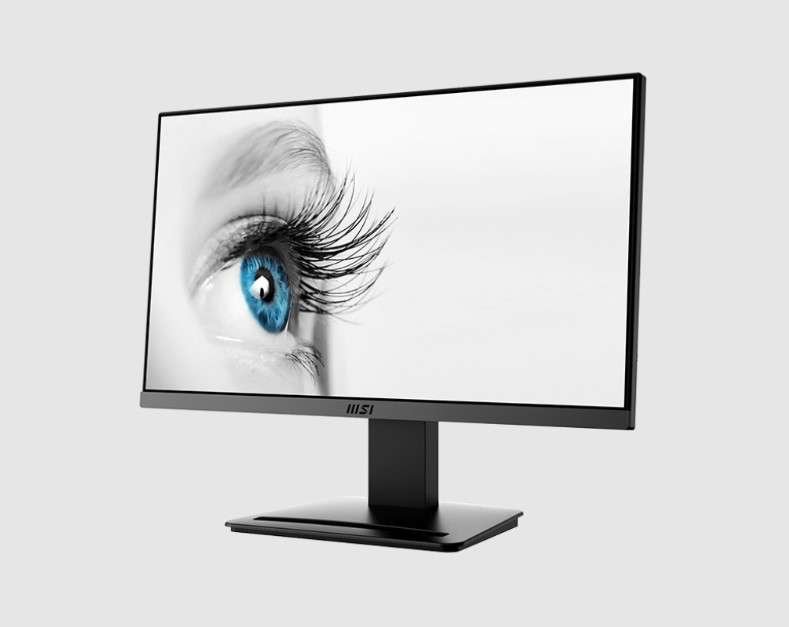 ECRAN MSI PRO MP223 100hz VA 1